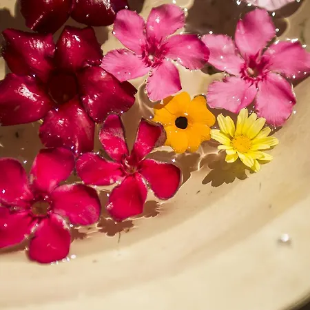 Galboka Apartamento Nerezine