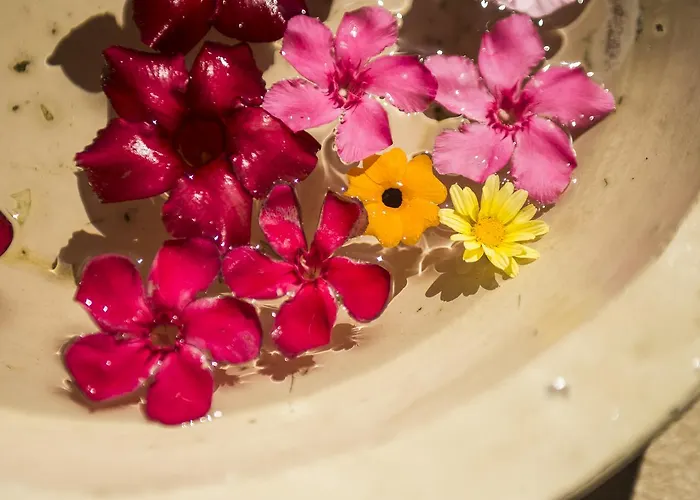 Galboka شقة نيغيزيني